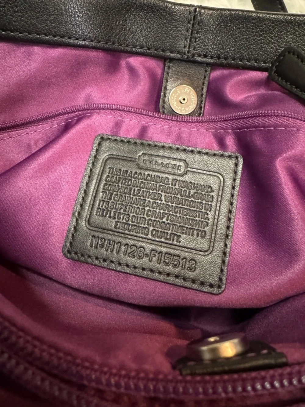 Coach Ashley Leather Satchel Carryall